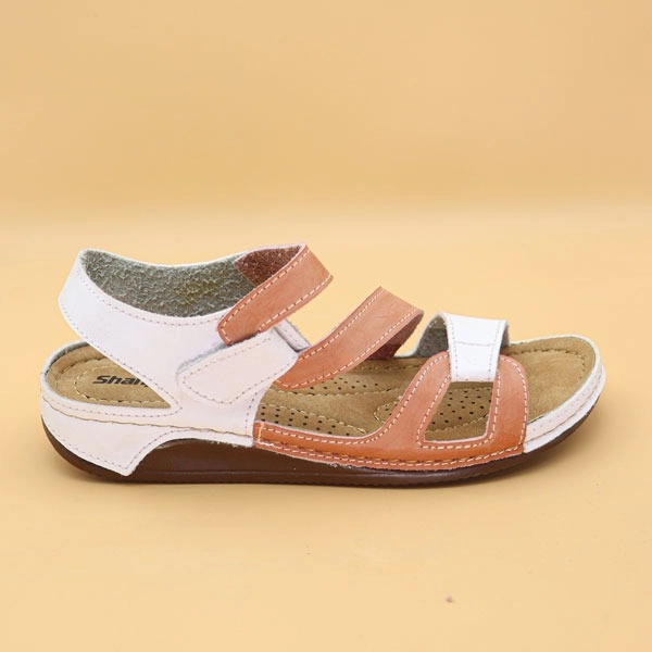 گالری تصویر 3